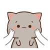 Kucing lucu 6