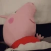 🐽 PEPPA PIG 🐽 6