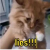 lies!!!