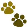 Cat emoji🐱😊🐾 12