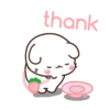 Adorable bunny 🐰 6