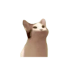 Gatos para el chat 🐱🤣 18
