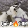 FoFuSpEtS 18