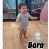Novos 6