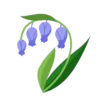 Plants and Flowers🌺🪴 25