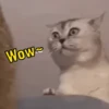 Wow