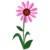 Plants and Flowers🌺🪴 22