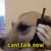 Real Life Struggles 7