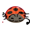 Catarina 1 🐞 13