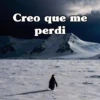 Creo que me perdi