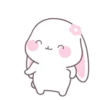 Kelinci gemoy GIF 9
