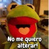 Rana René #2🐸 5