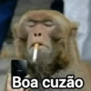 Memes figurinhas  26