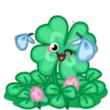 Flowers 19