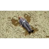 Money 7