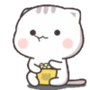 Mochi cat laught and eat 6