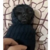 Que frio 8