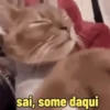 Gatos 10