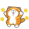 Happy Cat GIF 😸 16
