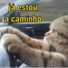 Reações de gatinhos 🐈‍⬛ 6