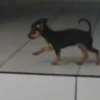 🎵 TIKTOKeando 5🎵 14