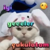 Turkish humor 5