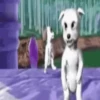Perritos TikTok (Barbie) 6