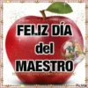 Dia del Maestro. 8
