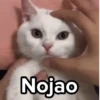 🤯💥Enojaditos 1💥😡 8