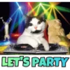 Animals Funny Meme 5