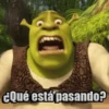 Shrek 8