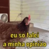 Para reagir e debochar 😂 13