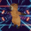 Capybara capibara✨❣️ 9