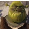Shrek animado 😂 6