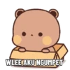PANDAKUU 11