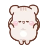 Marmut lucu imut 6