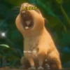 ✨Capybara✨ 7
