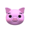 Happy Pig 1   11