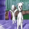 Perritos TikTok (Barbie) 5