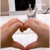 Jinmiranaşko 7