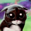 Animados Random 10🤣 24