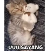 MEOWW 15