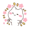 Kelinci imut 24