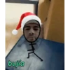 Video pollo palet 5