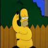 Simpsons 23