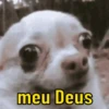 Memes para reagir 😂 6
