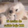 Reações de animais 😍 13