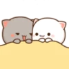 ❤️ Mochi - Peach Cat 🌚🌝❤️ 13