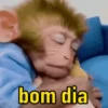 Reações de animais 😍 15