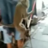 Para reagir e debochar 😂 8